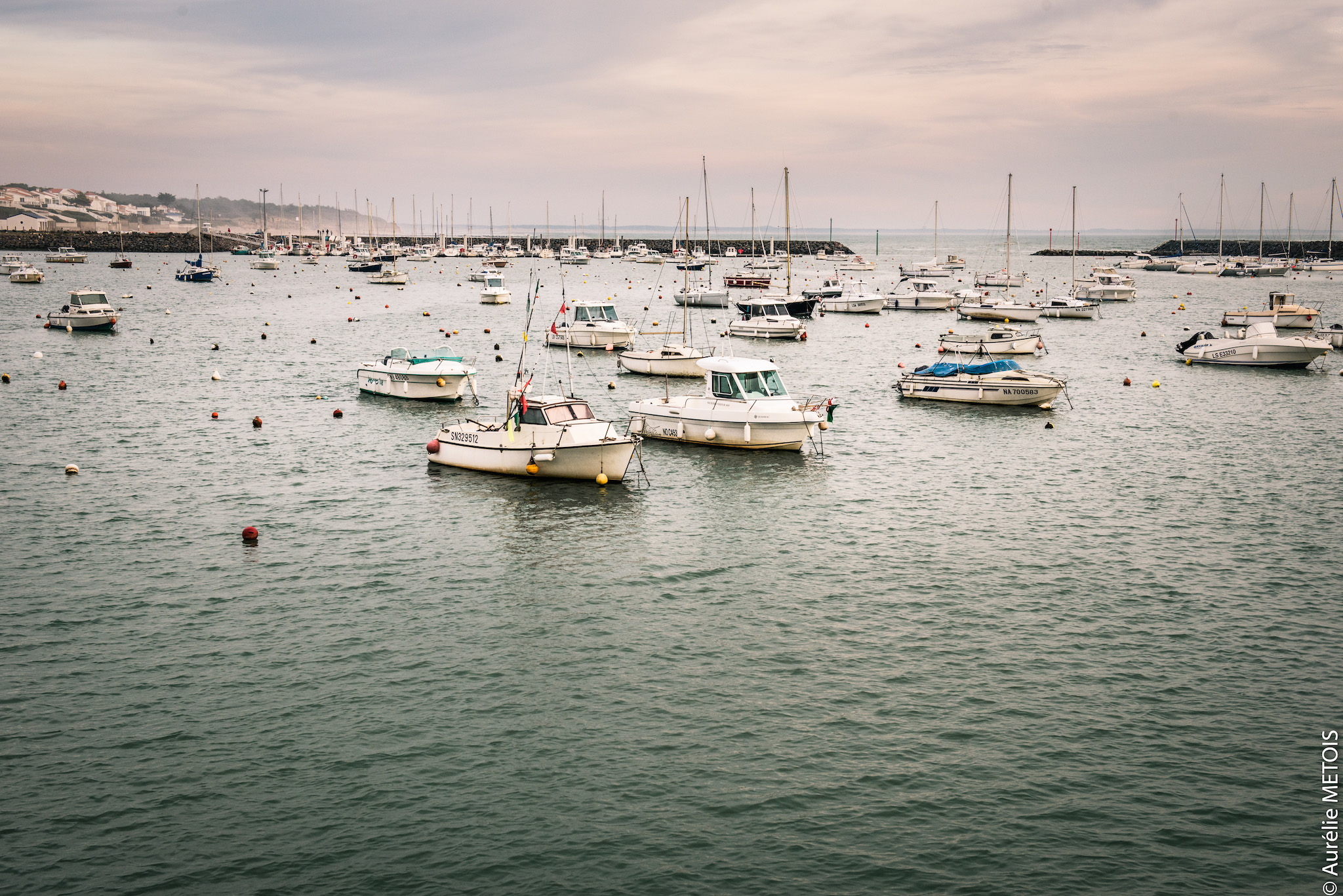 Port - Jard sur Mer