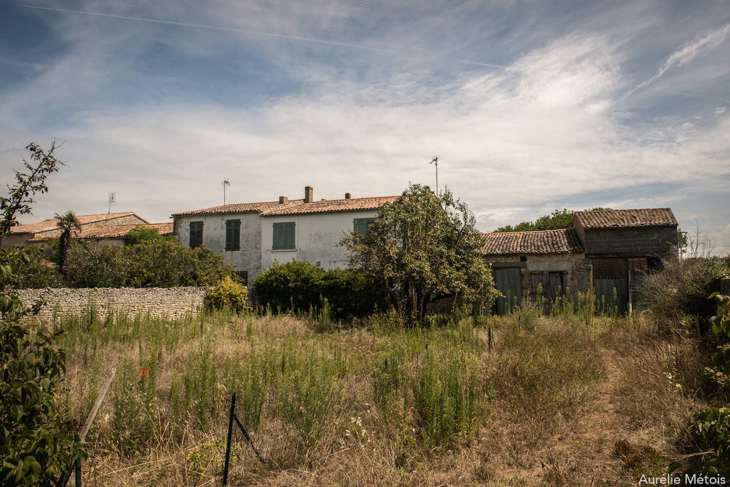 Ile de Ré