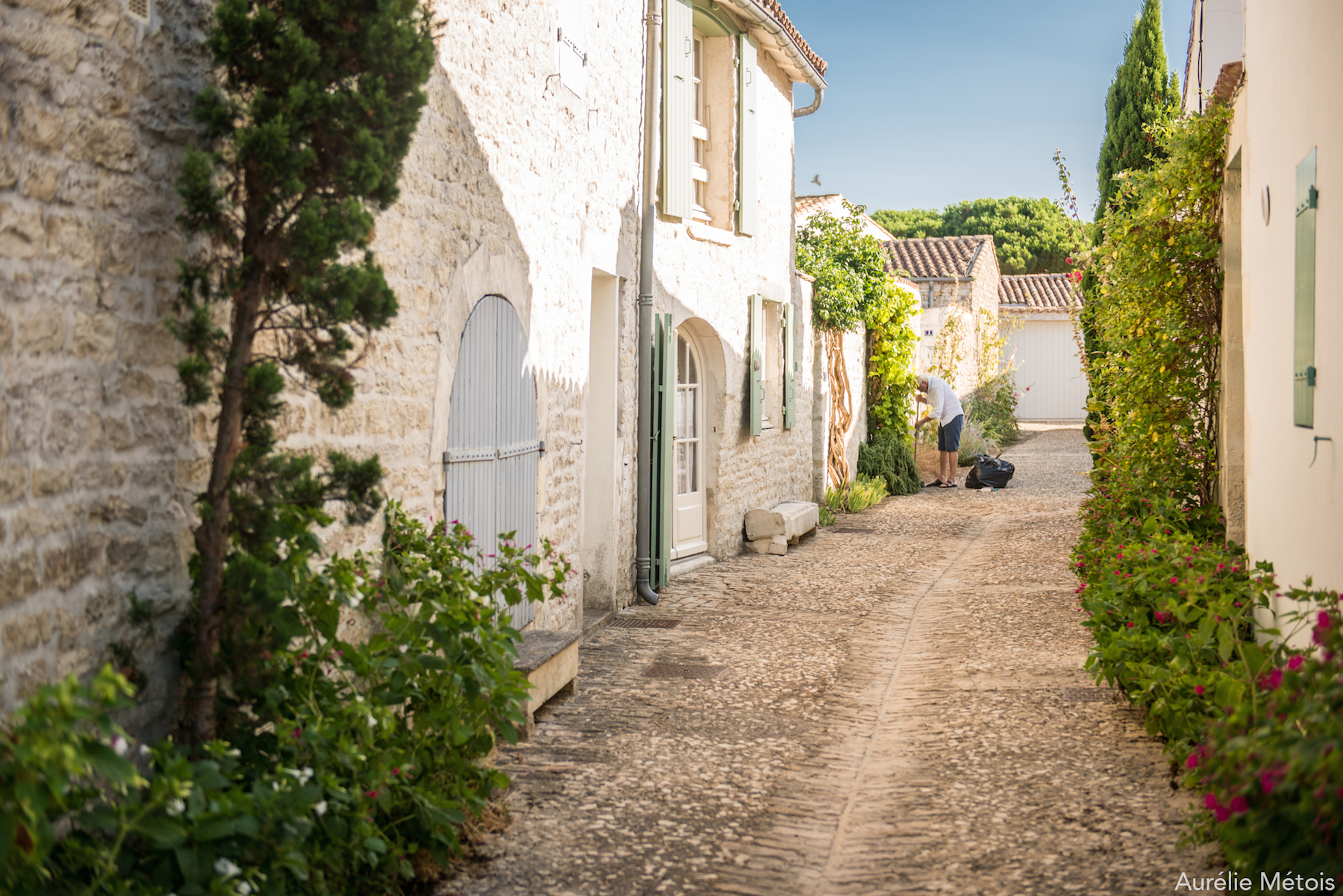 Ruelle - Ile de Ré