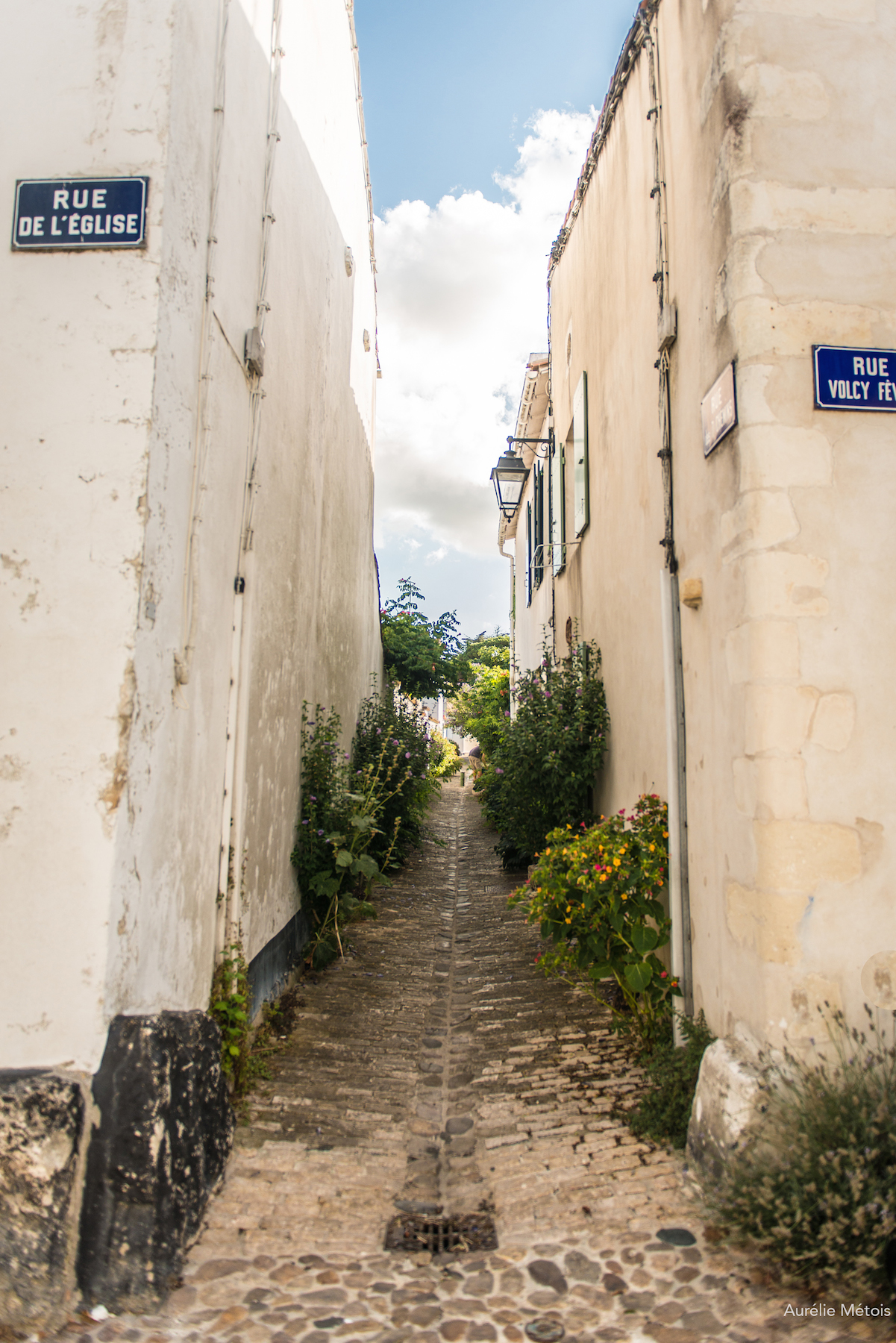 Ruelle - Ile de Ré