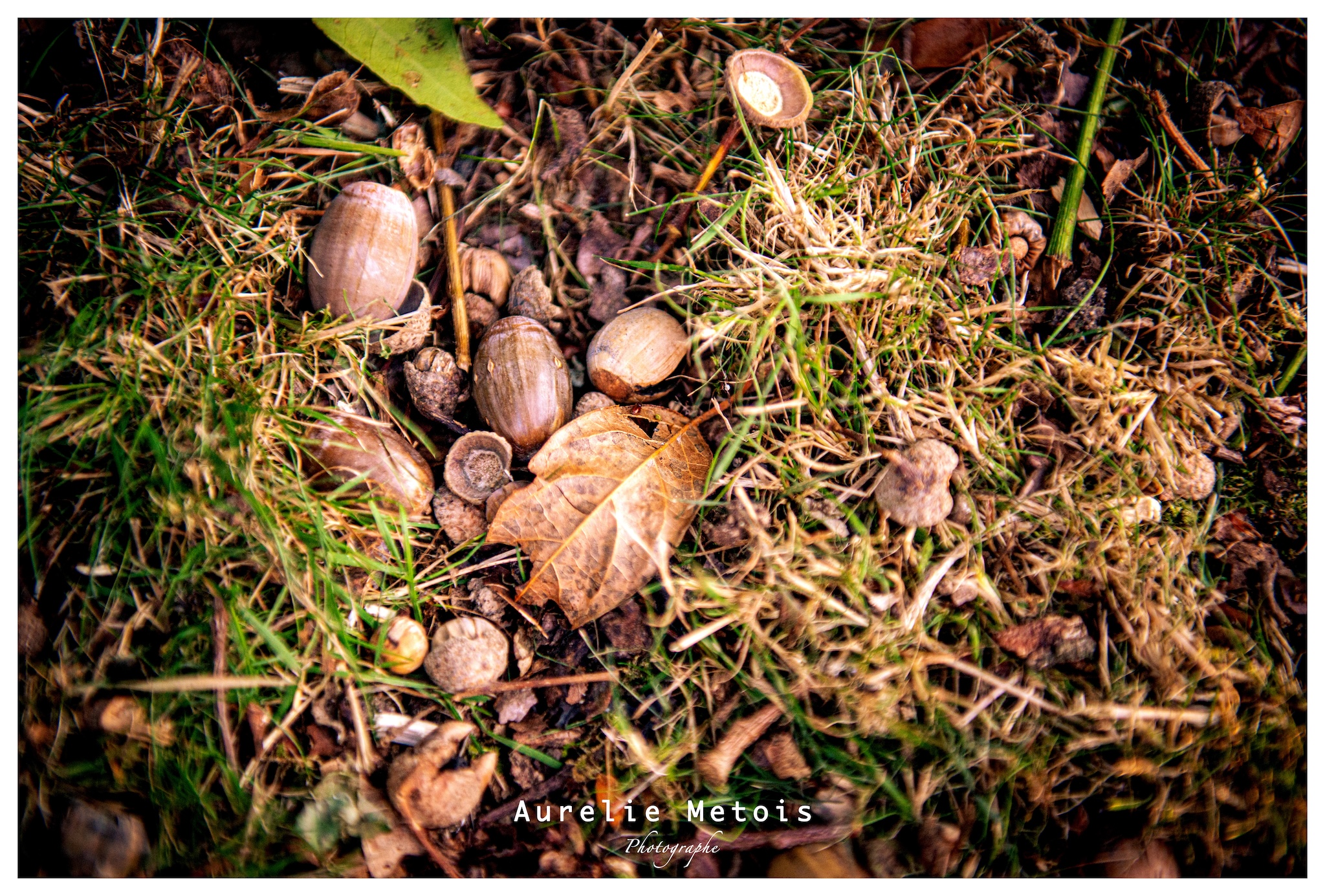 2024-09-20 © Aurelie Metois-1375